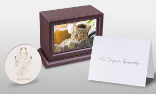 Private cremation package including pawprint, cremation certification, and urn